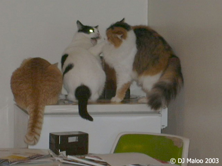 p1000285.jpg